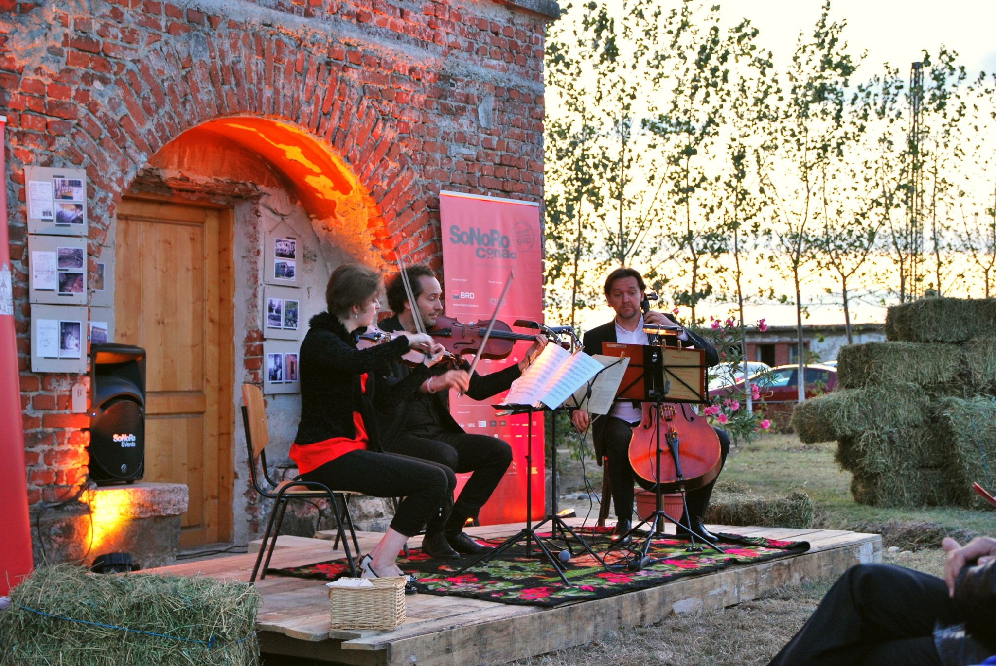 Concert caritabil SoNoRo pentru conacul Neamțu