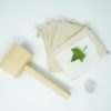 POVESTEA PLANTELOR – Image 3