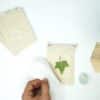 POVESTEA PLANTELOR – Image 4