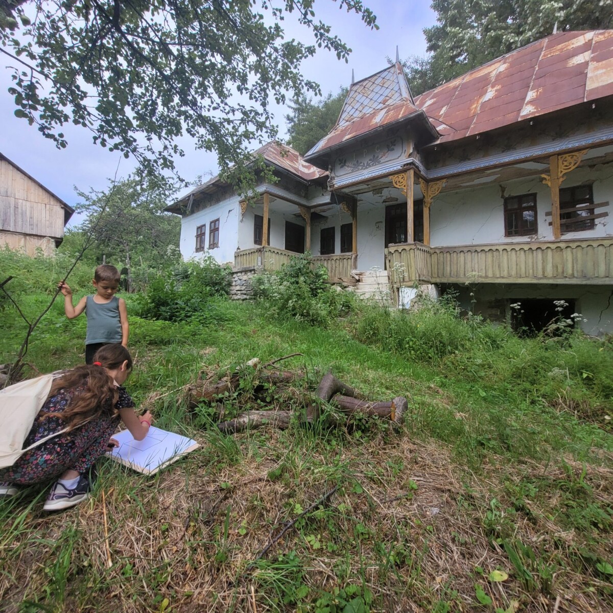 Prima Tabără de Patrimoniu Pro Patrimonio – Aventură și Creativitate la Nucșoara