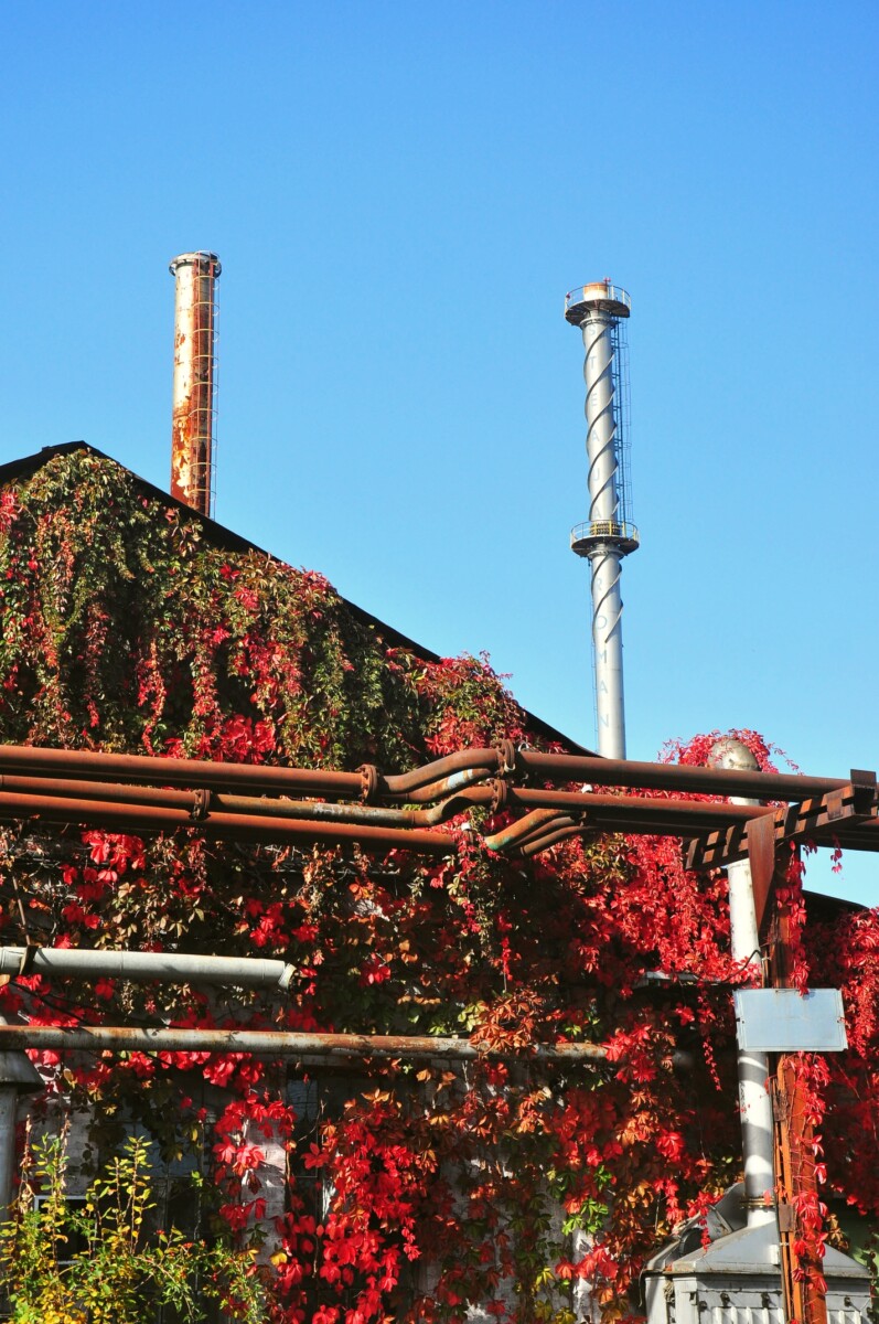 Rafinăria Steaua Română Câmpina: un patrimoniu industrial de 125 de ani aflat la răscruce.