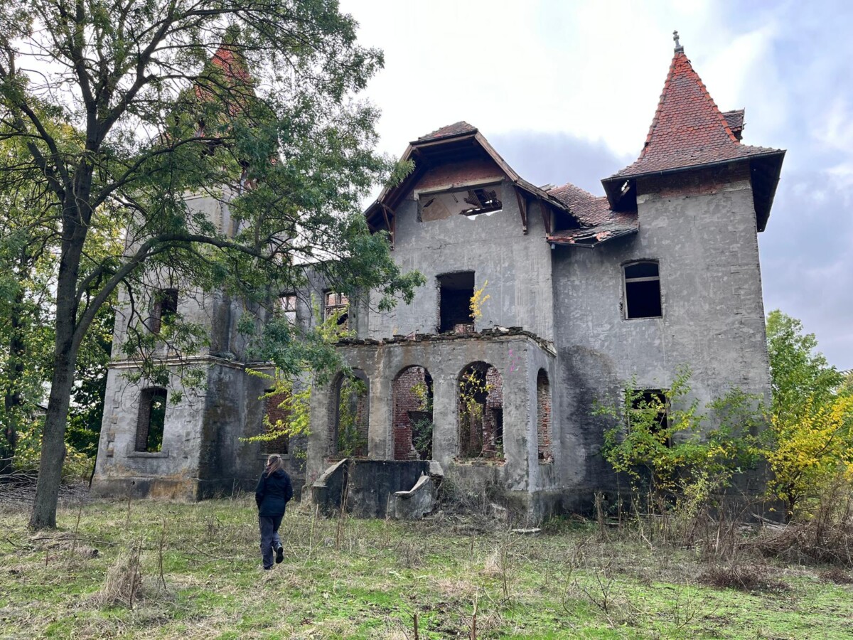 Intrare în proprietate