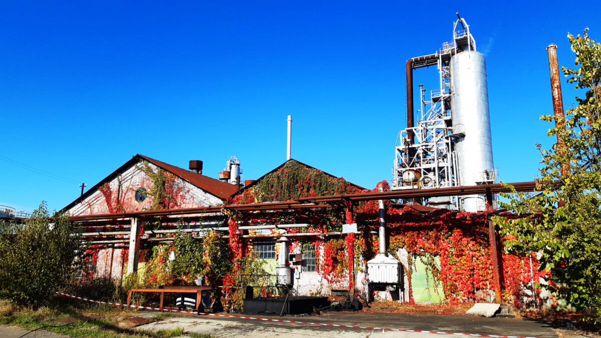 RAFINĂRIA „STEAUA ROMÂNĂ” DIN CÂMPINA