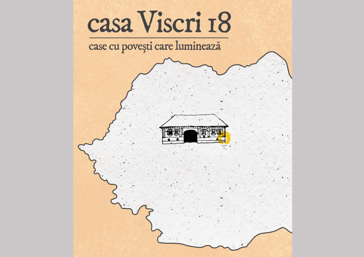 KIT-ul CASEI VISCRI NR.18